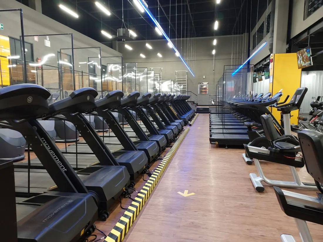 Line of cardio machines wiped down in an empty gym