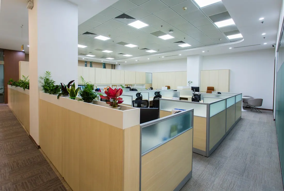 Open plan floor with planting between the desks, lit and empty
